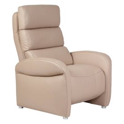 Fauteuil Relax Electrique Cuir Barizey